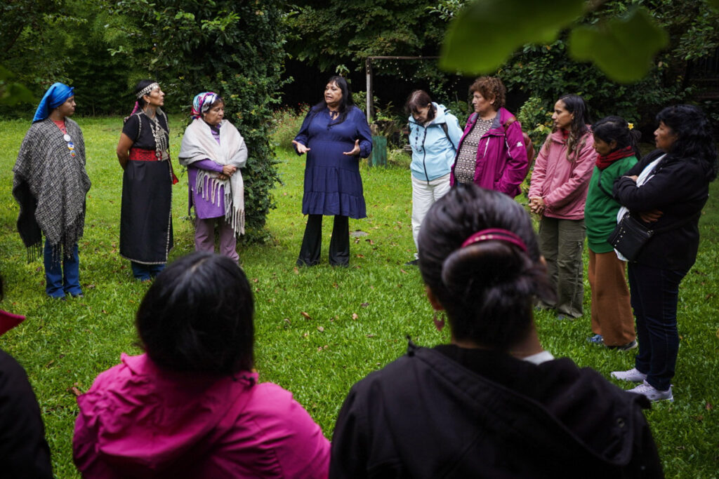 Fotos: CDD Argentina